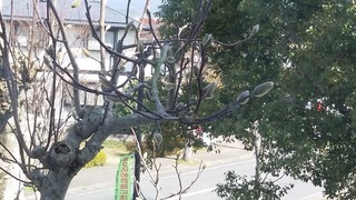 20150317_135232-84332.jpg
